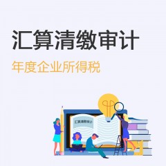 年度企業所得稅匯算清繳審計